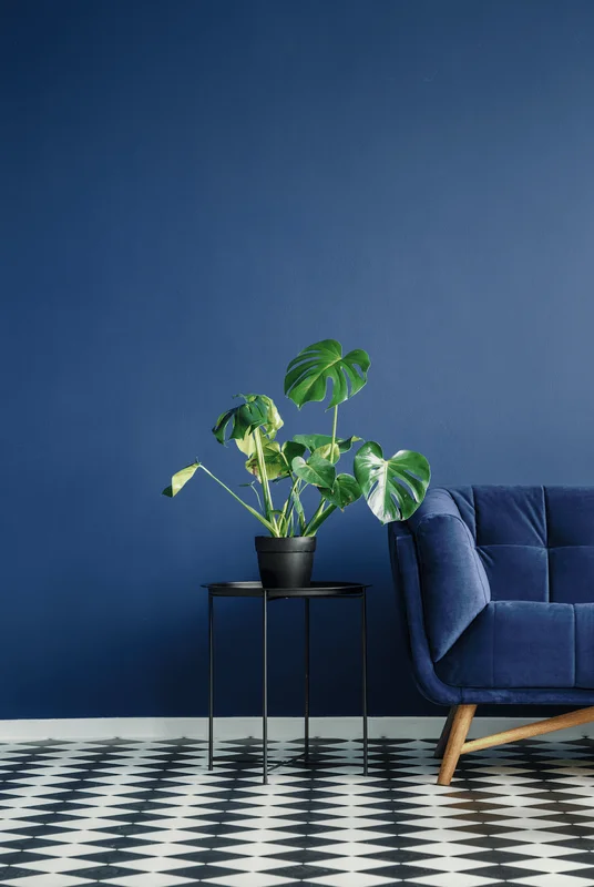 Les bleus Peintures La Francaise