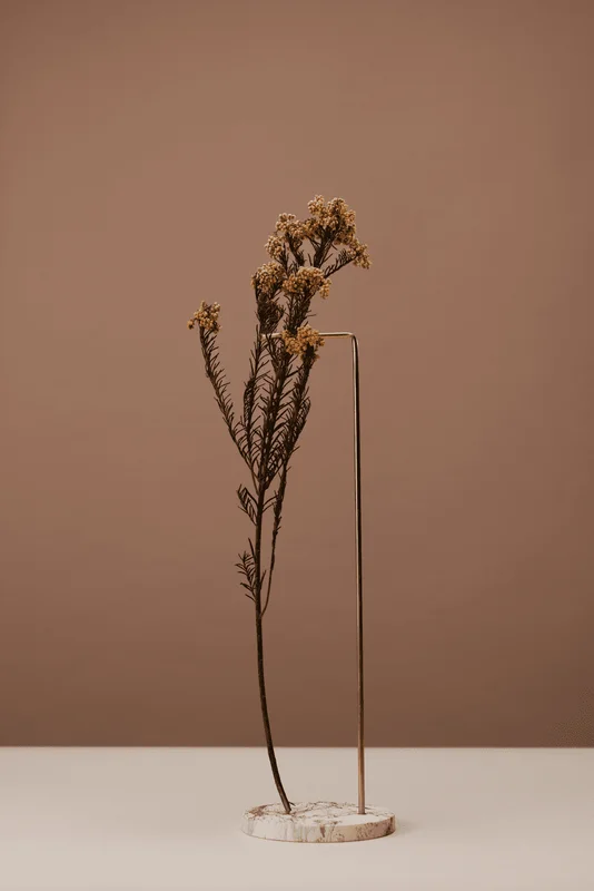 Les Marrons Peintures La Francaise